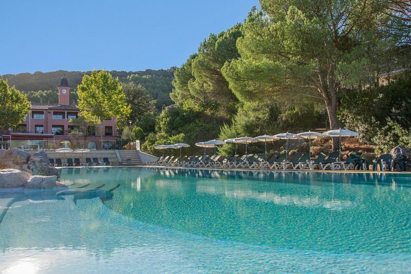 image The pool area from above, surrounded by the oak and pine of the Domaine du Rouret grounds.
