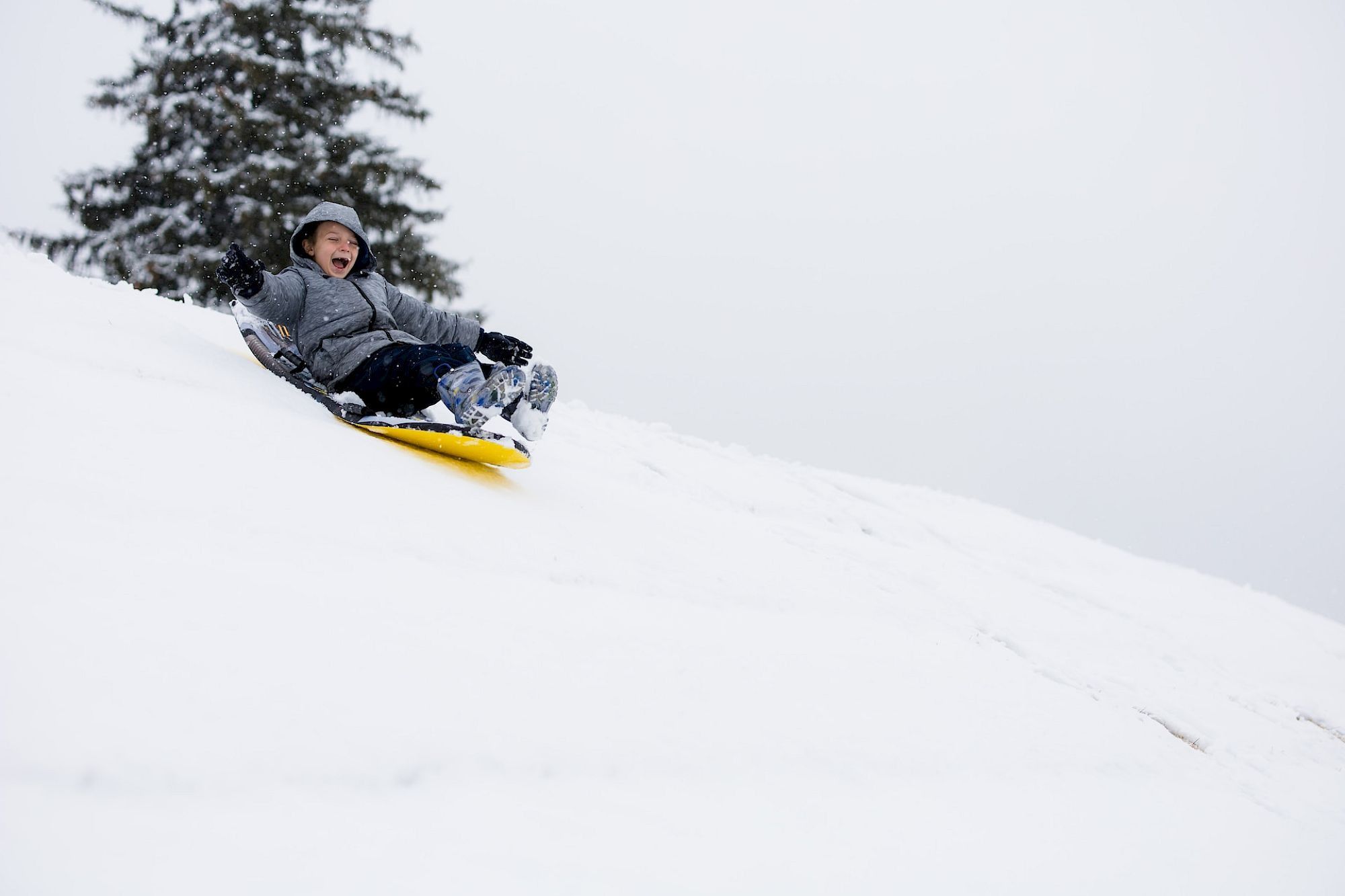 image Sledding fun in the snow.