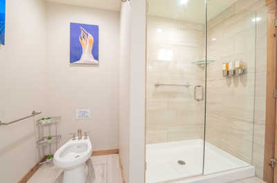 Step into a serene spa-like bathroom featuring a sleek walk-in shower and elegant decor.