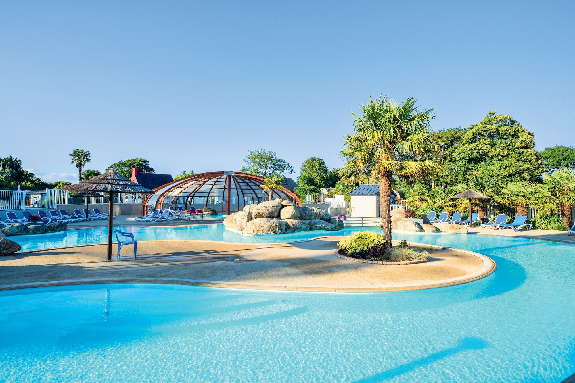 image Swimming pool with palm trees and lounge chairs.