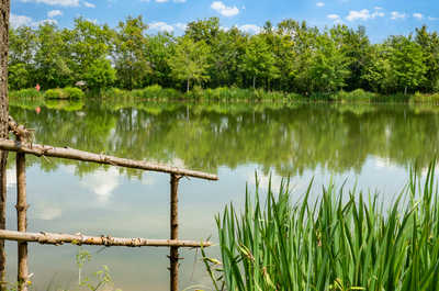 Calm waters bordered by vibrant nature.