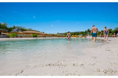 Families bask in the sun on a sandy shore.