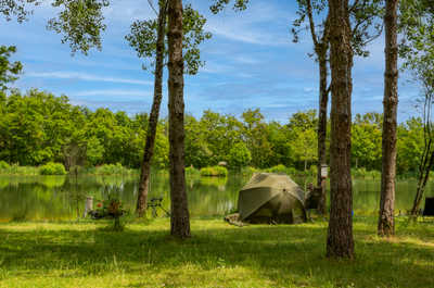 Lush greenery providing a serene escape.