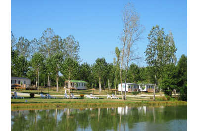 Serene lakeside setting with cozy accommodations nestled among the trees, offering a peaceful retreat surrounded by nature.