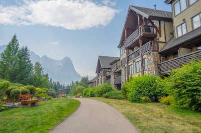 Pathway lined with grass, trees, and buildings in background