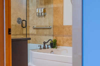 Bathtub and glass-enclosed shower with decorative plant