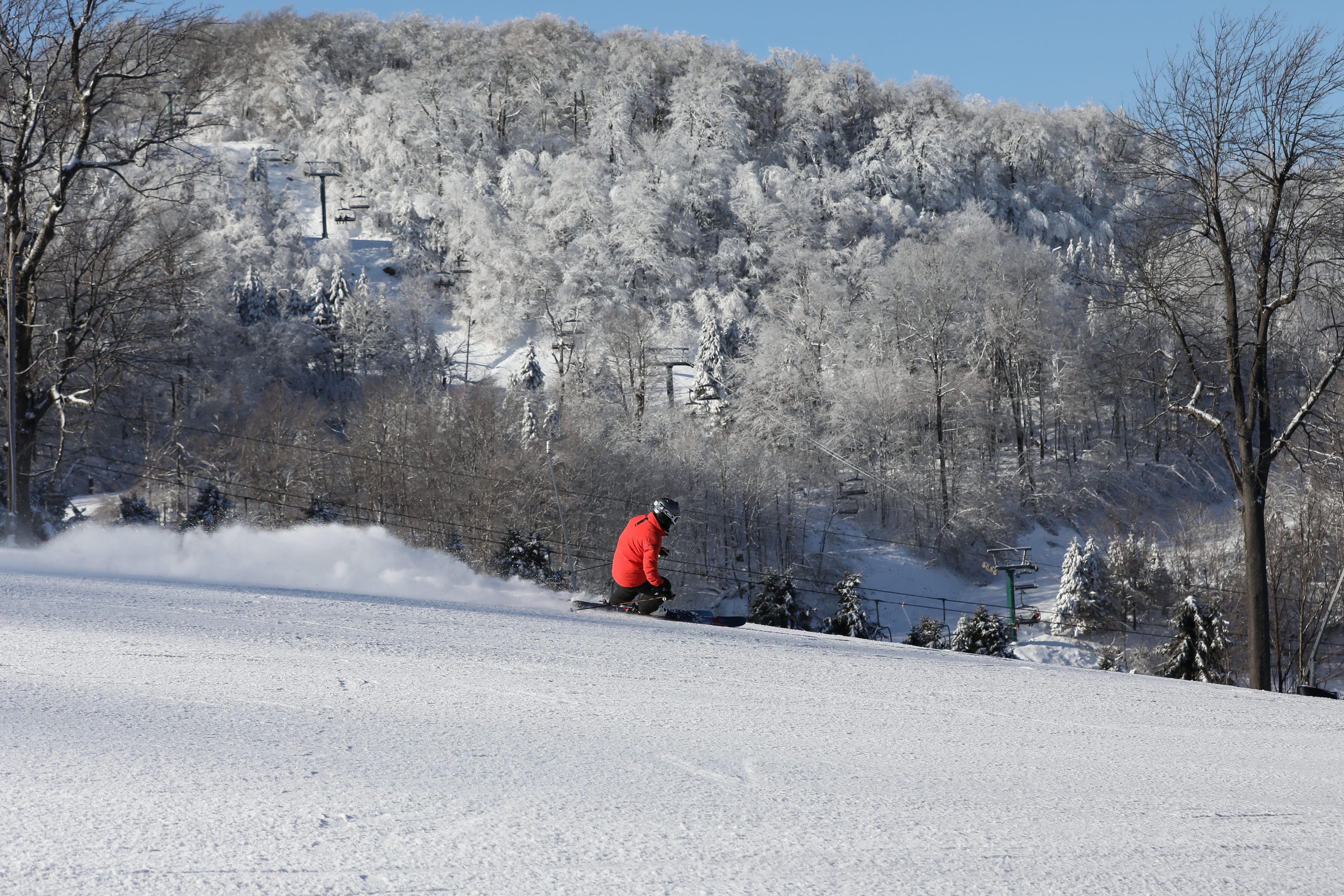 image A skier maneuvers down the slope, surrounded by frosted trees and the clear azure sky above.