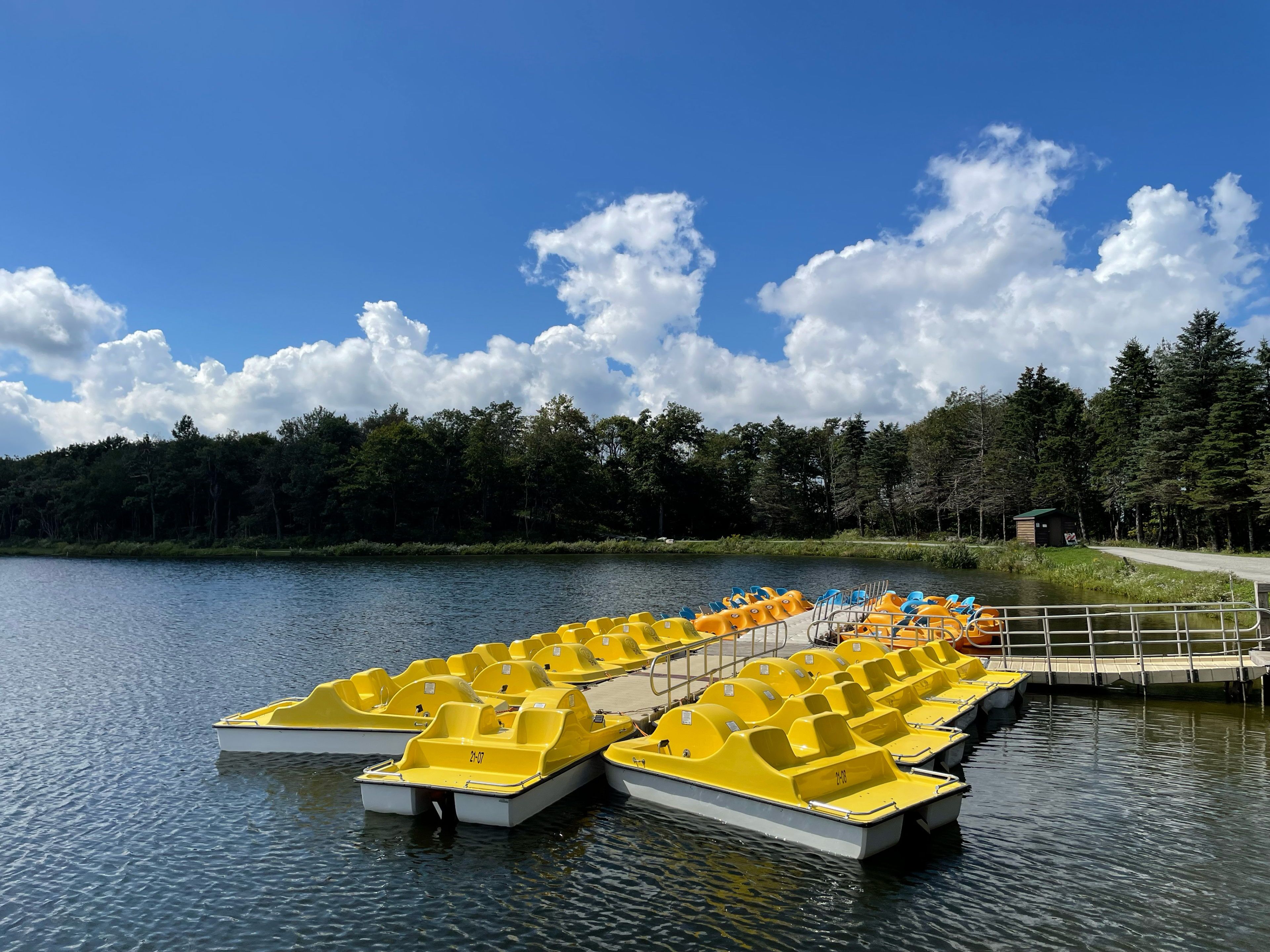 image Bright yellow paddle boats rest on a calm lake, framed by lush greenery and a brilliant blue sky, inviting tranquility and leisure in the heart of nature.