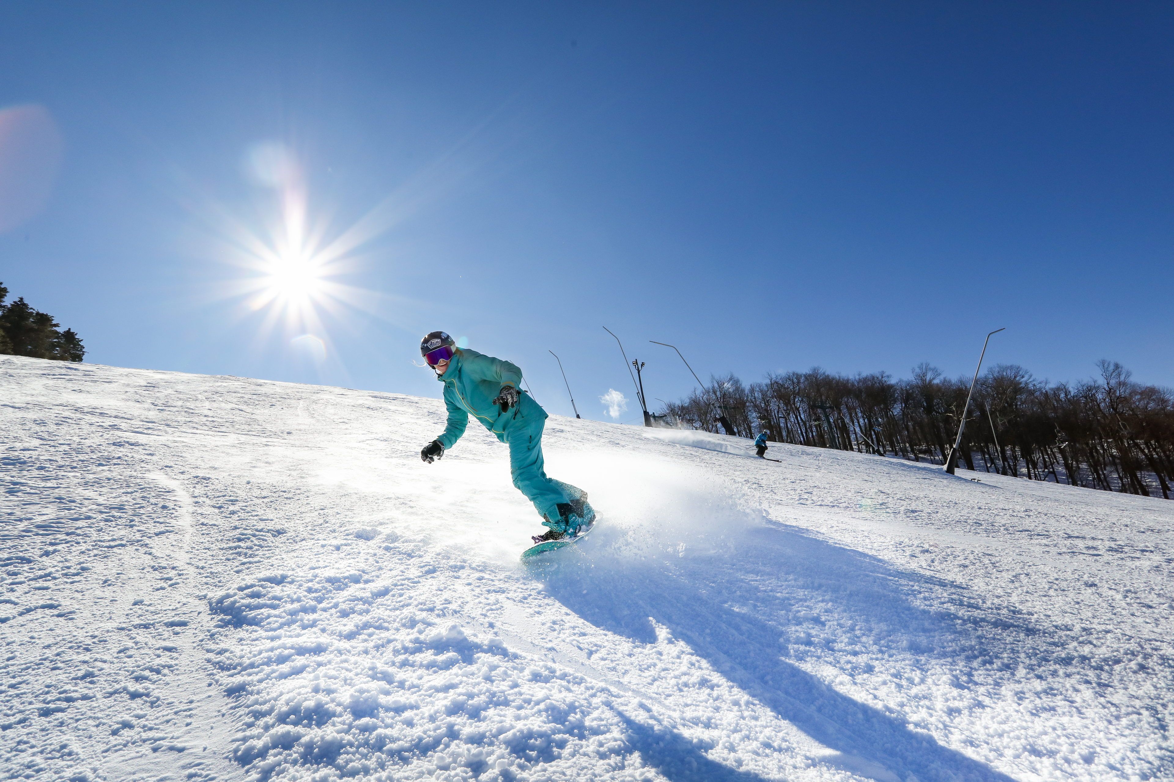 image Bathed in bright sunlight, a snowboarder carves down a scenic slope lined with trees, epitomizing the thrill of winter sports against a stunning blue sky.