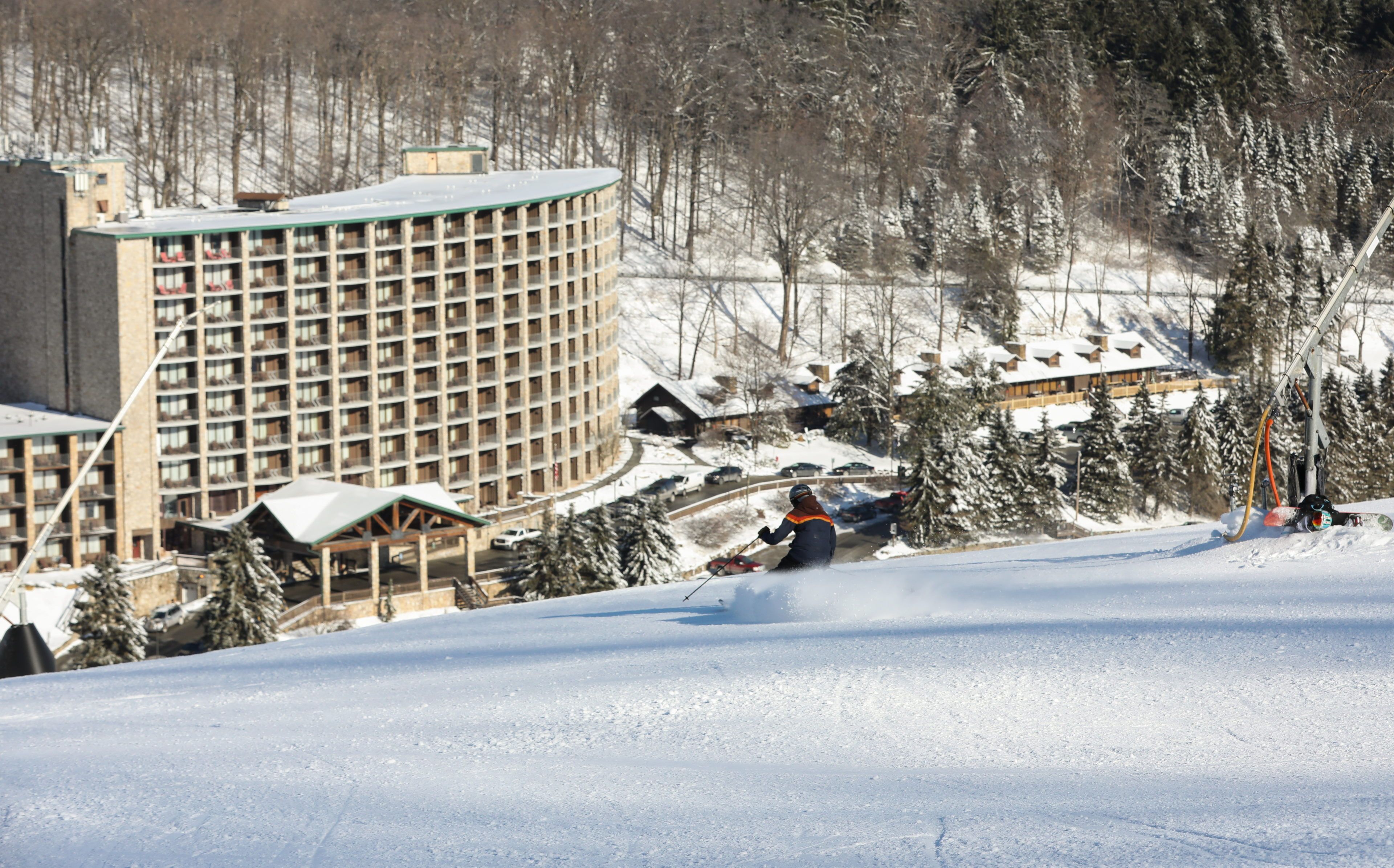 image A skier glides through a blanket of fresh powder, framed by the serene backdrop of snow-covered trees and a distant lodge nestled within the mountains.