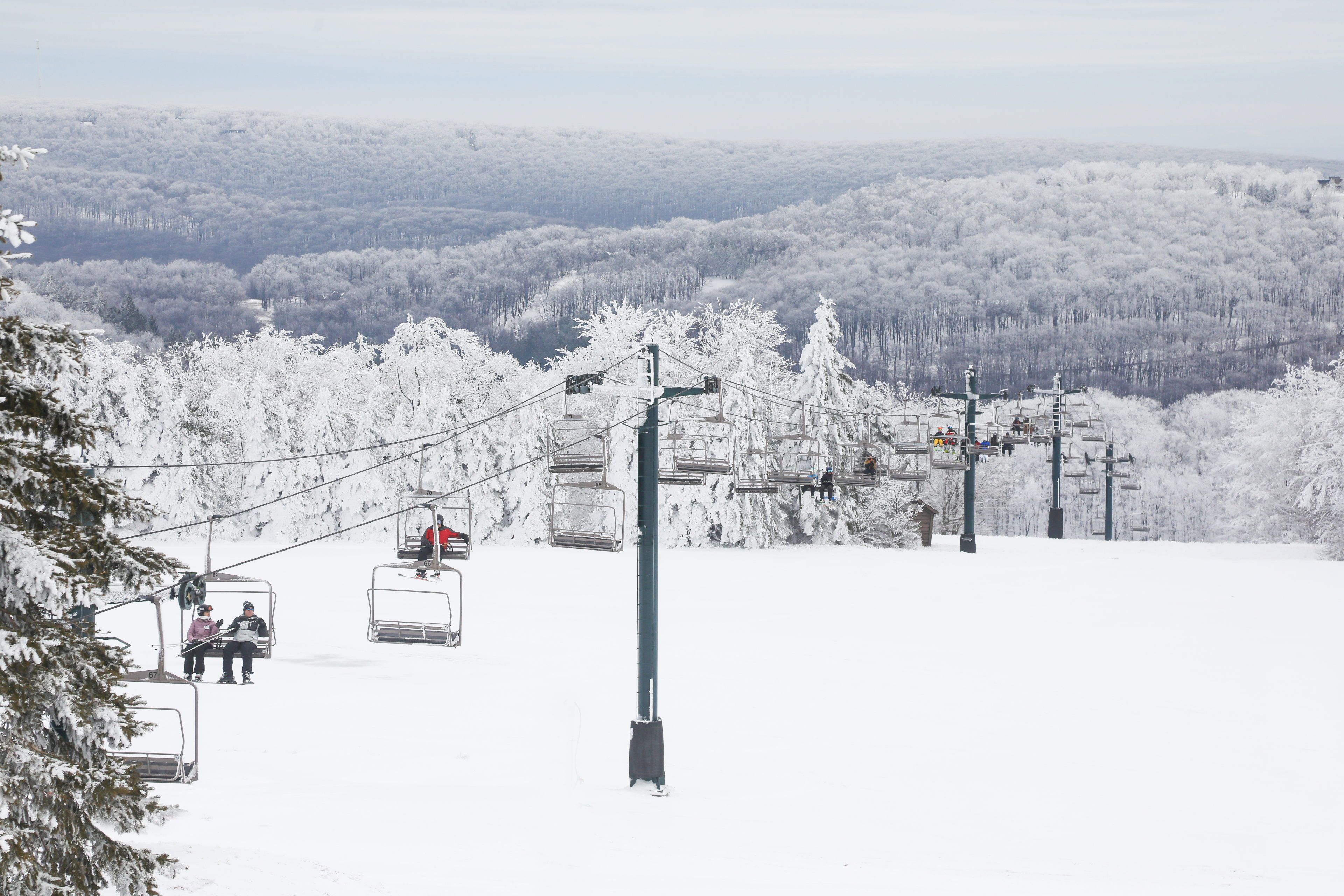 image A serene winter landscape unfolds, with snow-covered chairlifts gliding gently through a pristine wonderland of frost-kissed trees and rolling hills.
