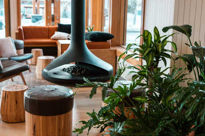 A contemporary lounge with sleek furniture and lush greenery, creating a serene and stylish space to unwind and connect.