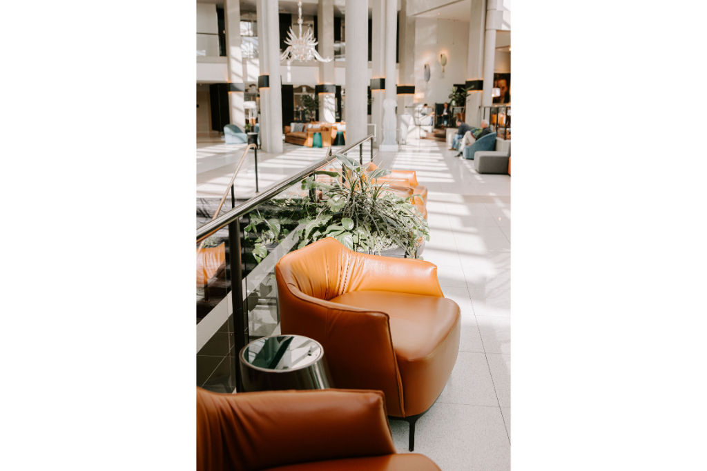 image A cozy lounge corner featuring plush leather seating and lush greenery, ideal for relaxation and casual conversations.