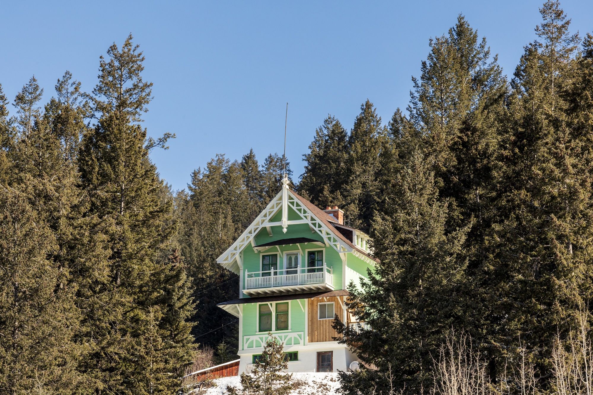 image A charming chalet nestled among towering pine trees, offering a peaceful forest setting and picturesque mountain charm.