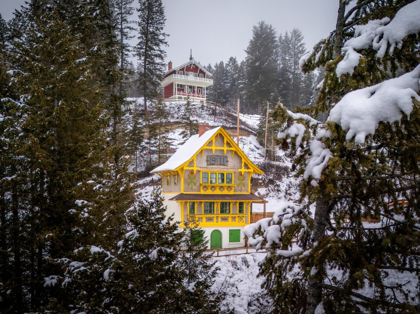 image Escape to a cozy hilltop chalet surrounded by misty forest views.