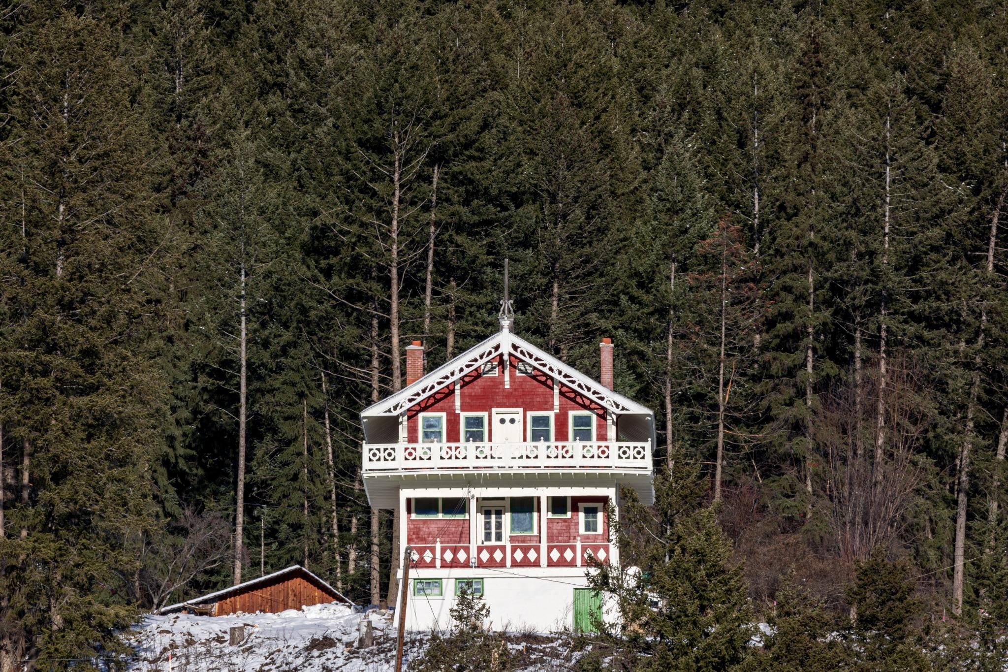 image Experience the unique character of a chalet, lovingly set against a backdrop of lush greenery.