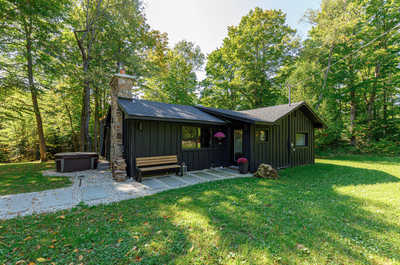 Secluded cottage nestled in a mixed forest, offering privacy and a peaceful retreat