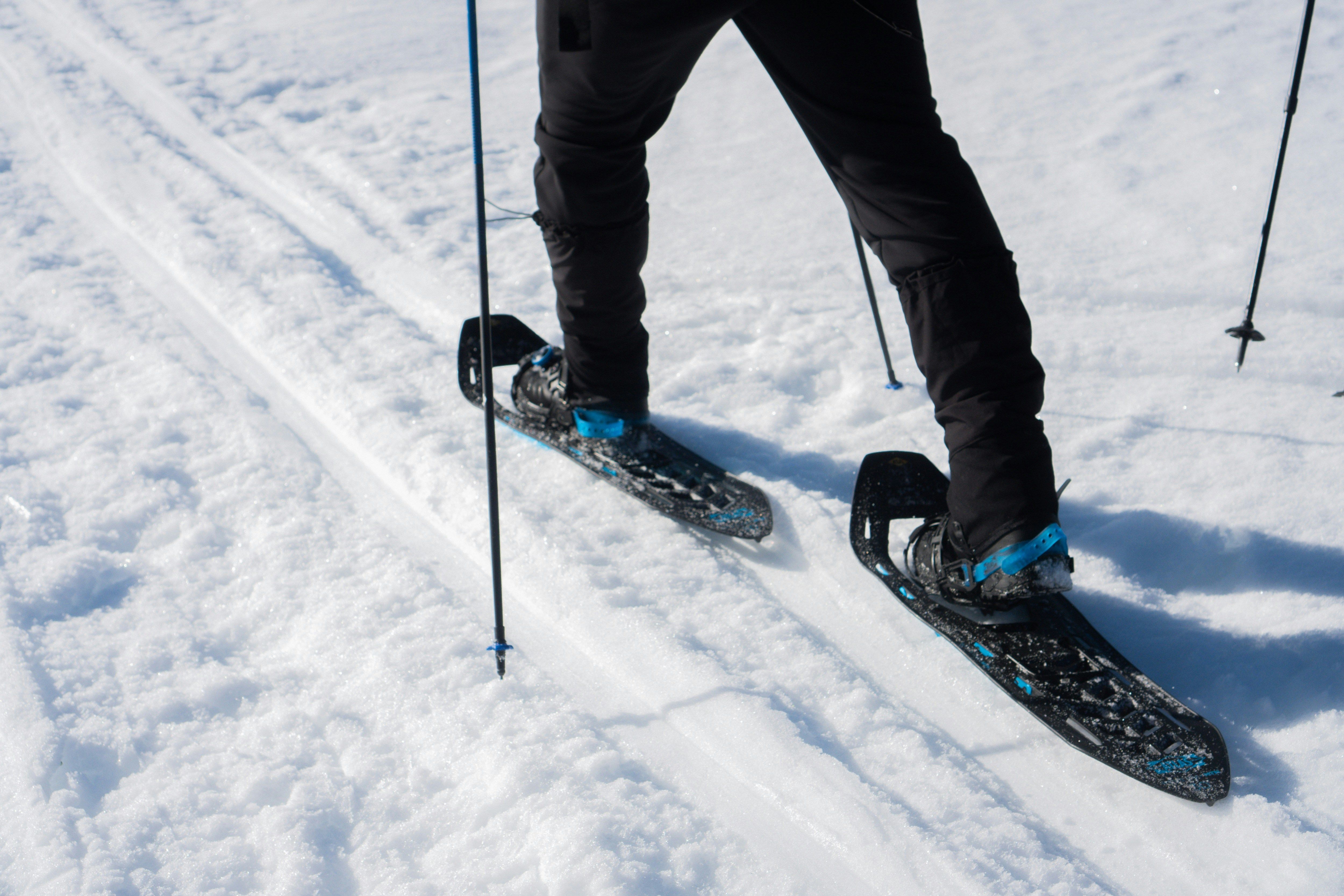 image Winter activities include snowshoe hiking, marked pedestrian paths, and dog sledding.