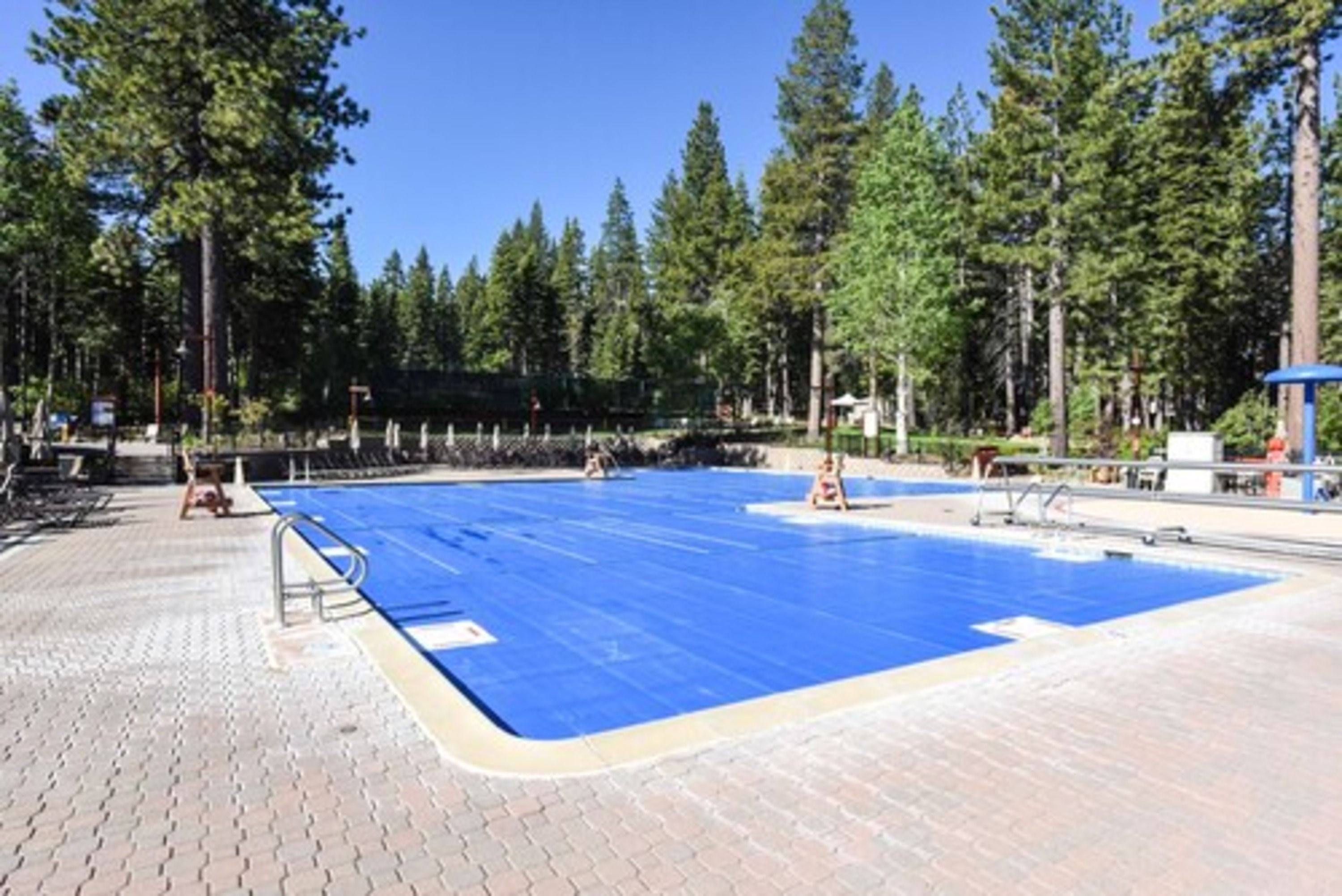 image Enjoy a refreshing swim in the serene, forest-framed pool, perfect for unwinding after a day of adventure.