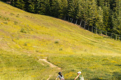 Explore the nearby meadow, teeming with summer wildlife.