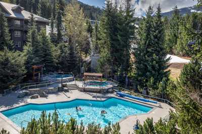 Relax by the pool, surrounded by lush summer greenery.