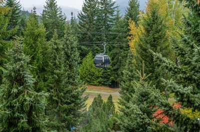 Gondola views through the beautiful summer forest.