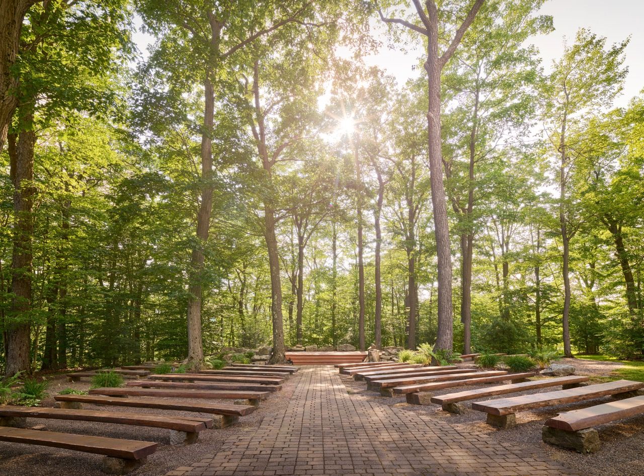 image Tranquil outdoor seating area nestled in a forest setting, with sunbeams filtering through the trees for a serene escape in nature.