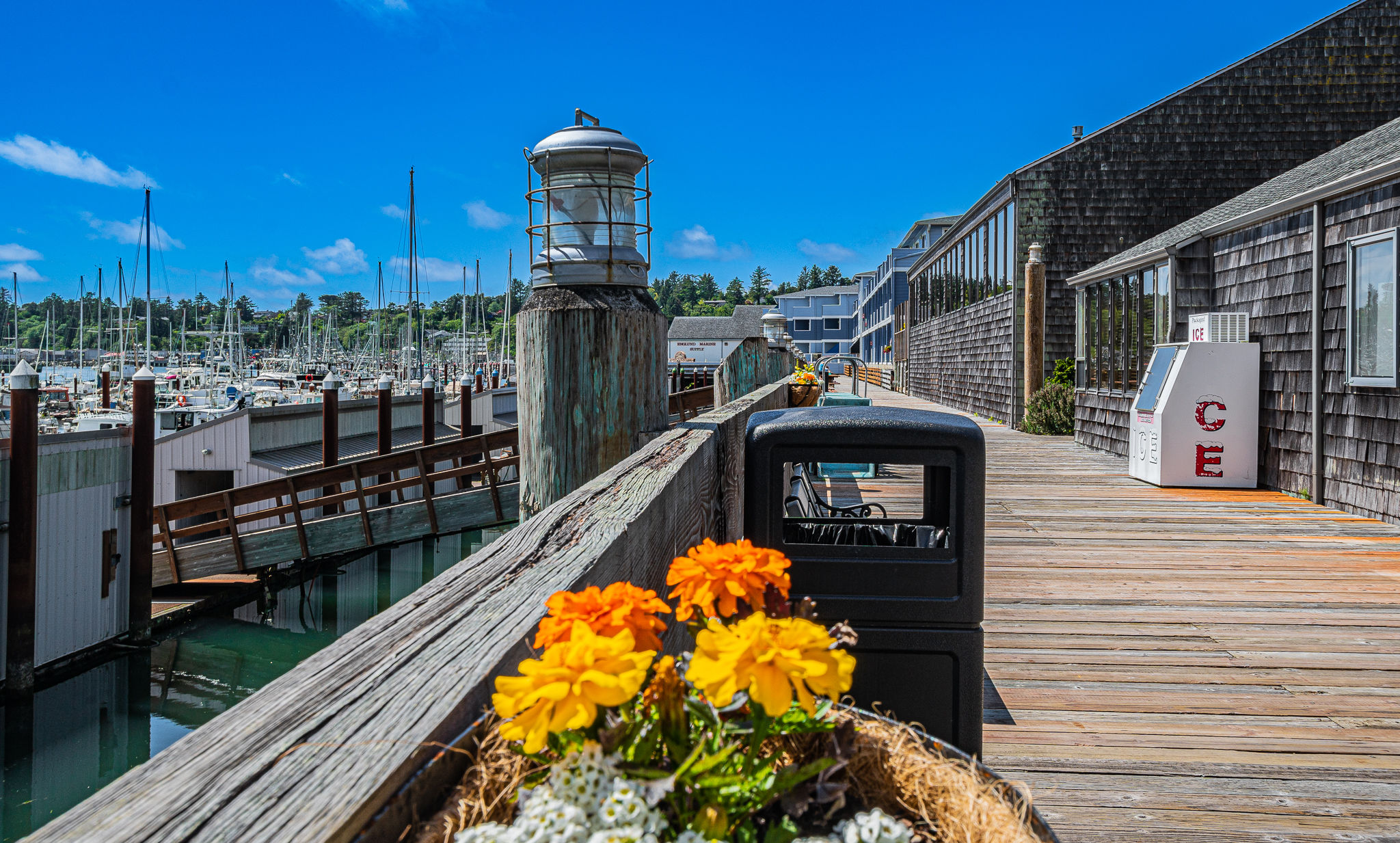 image Explore the charming marina walkway, lined with flowers and inviting you to enjoy a peaceful afternoon by the sea.