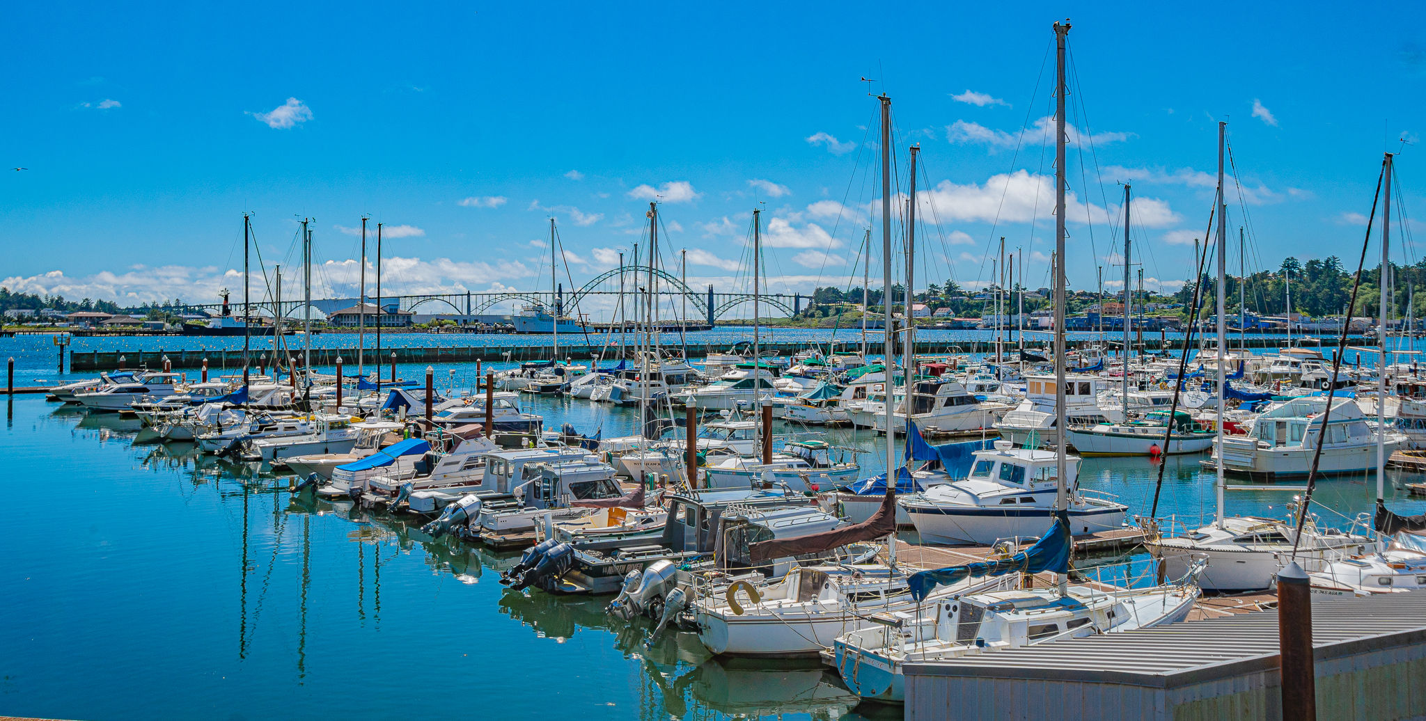 image Enjoy the vibrant marina, where boats gently sway in the clear, blue waters.