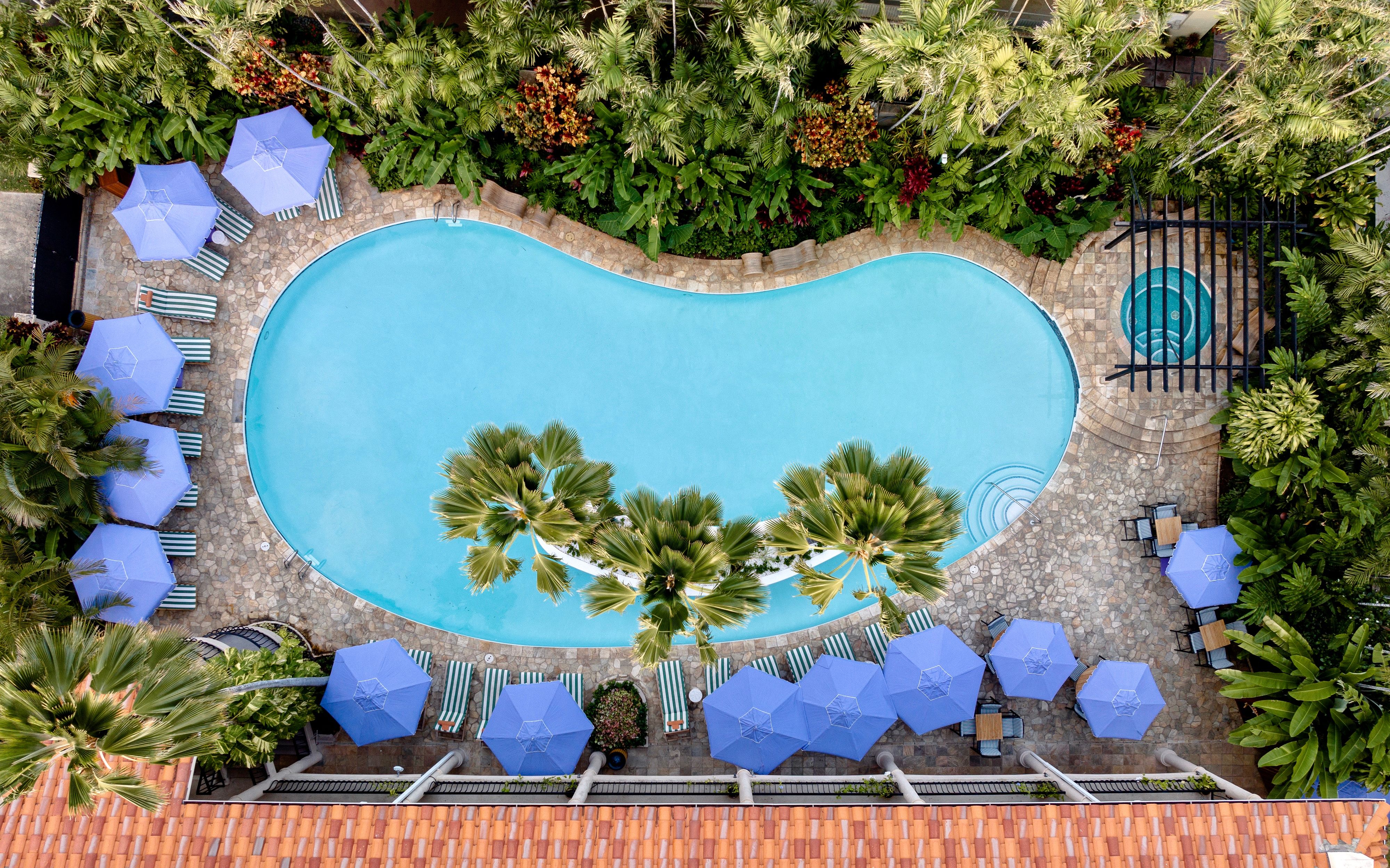 image This inviting pool, nestled among lush greenery and vibrant umbrellas, offers a serene and refreshing oasis for relaxation.