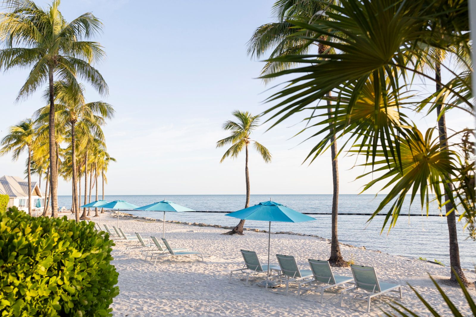 image Sunlit beach with large umbrellas shading lounge chairs beside the waves.