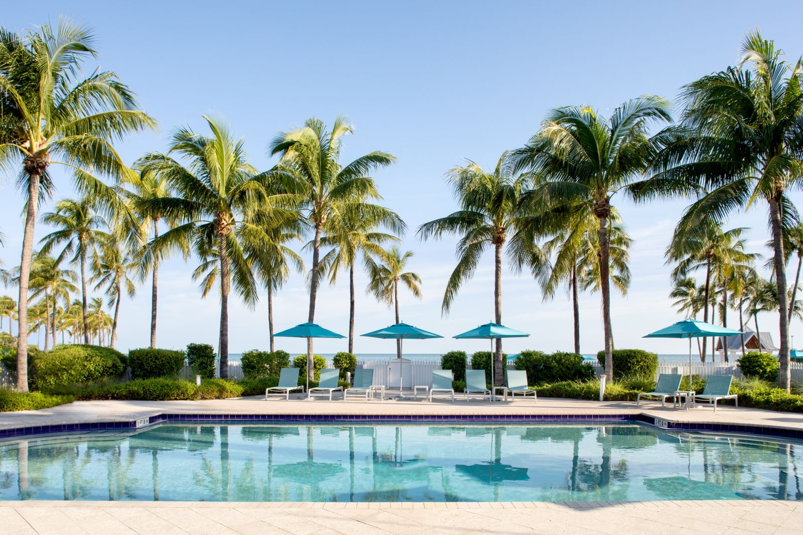 image Relaxation Pool (Adults Only) surrounded by palm trees and lounge chairs.