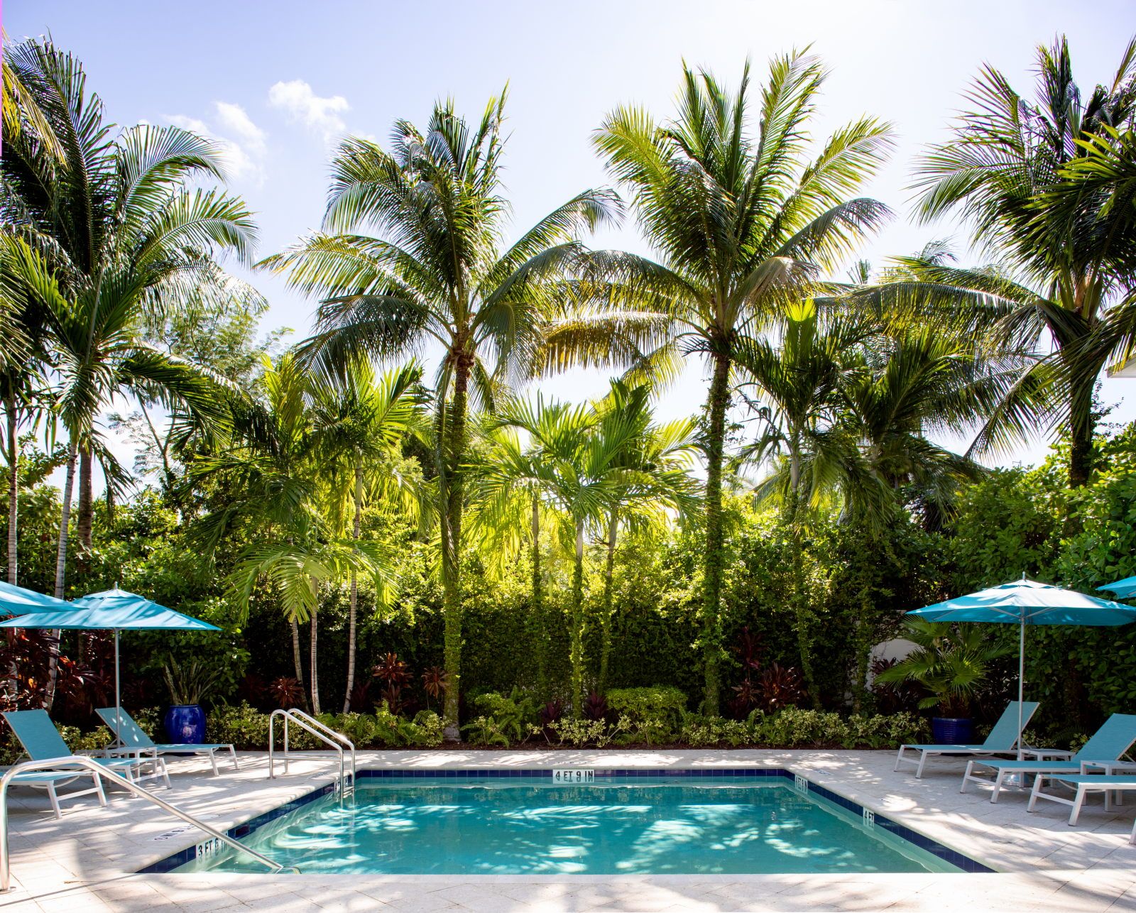 image Garden Pool shaded by palm trees, surrounded by greenery and blue umbrellas.