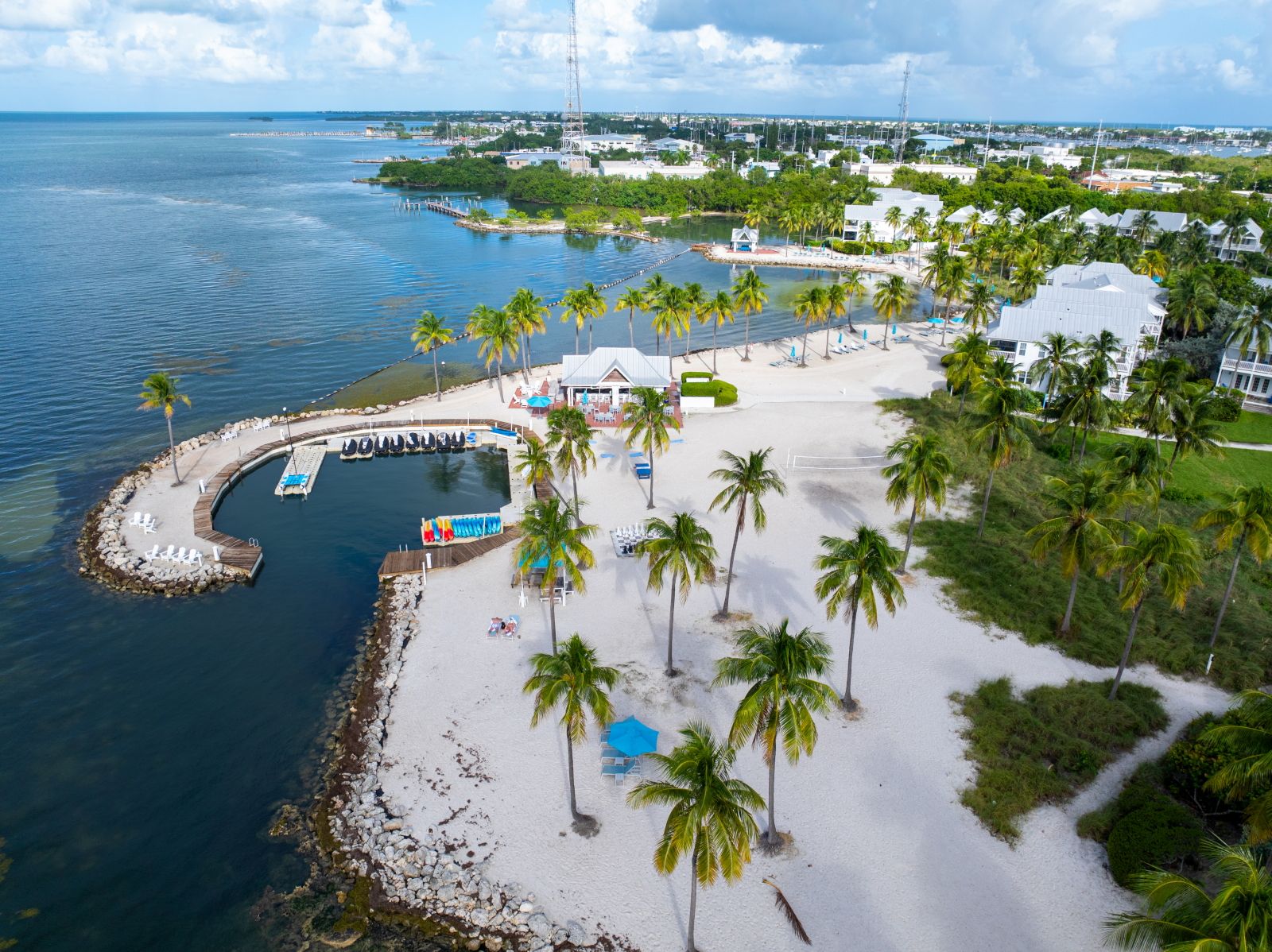 image Aerial view of a sandy beach surrounded by palm trees and blue water.