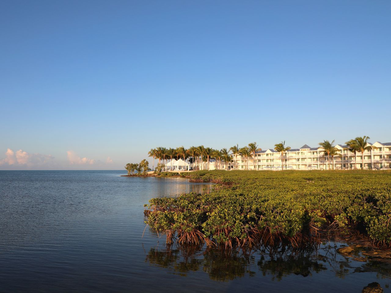 image Expansive waterfront views surrounded by lush greenery, perfect for a tranquil escape into nature.