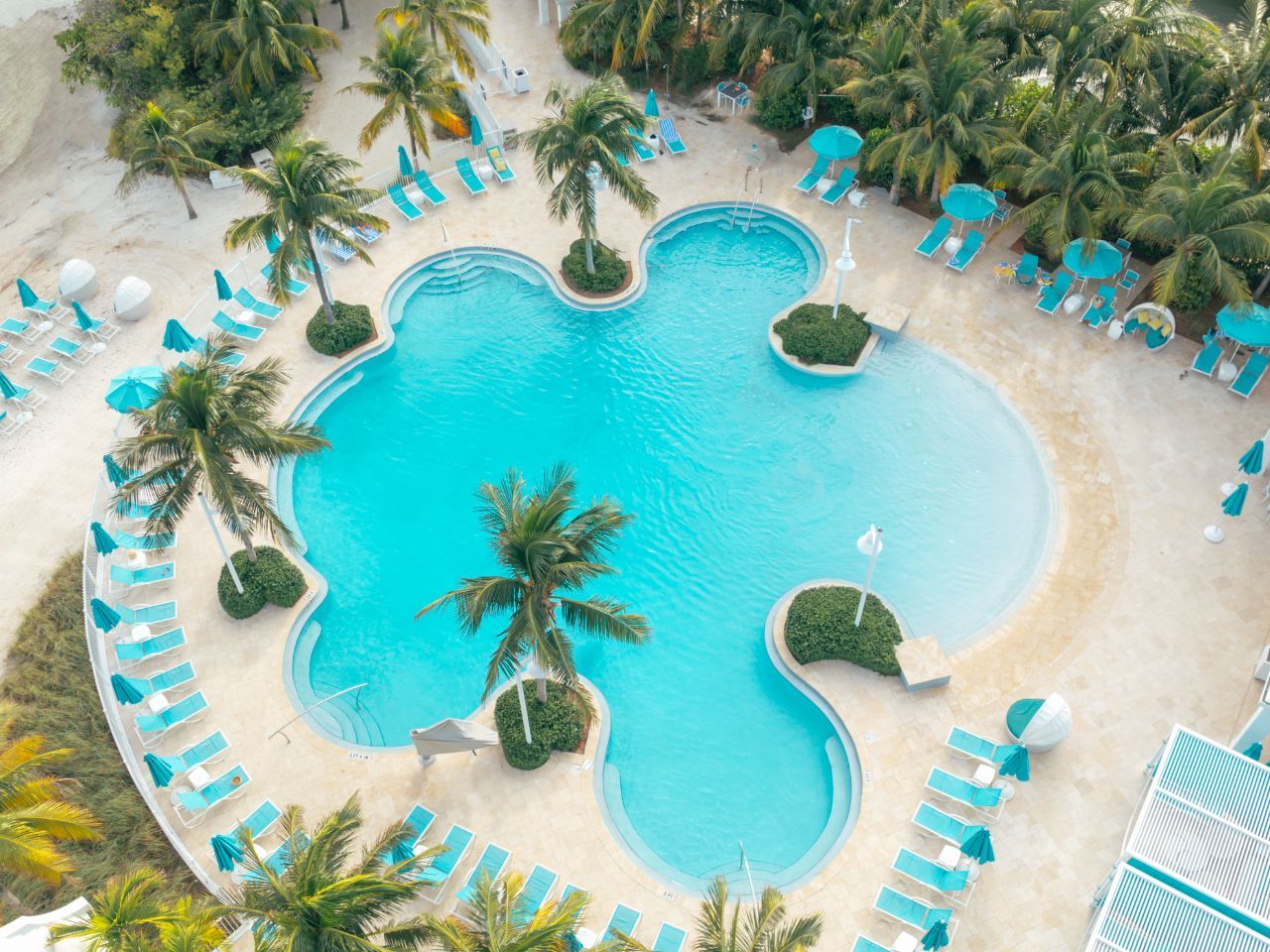 image Surrounded by lush palms, this resort-style pool offers a serene tropical escape with inviting lounge areas to soak in the sun.