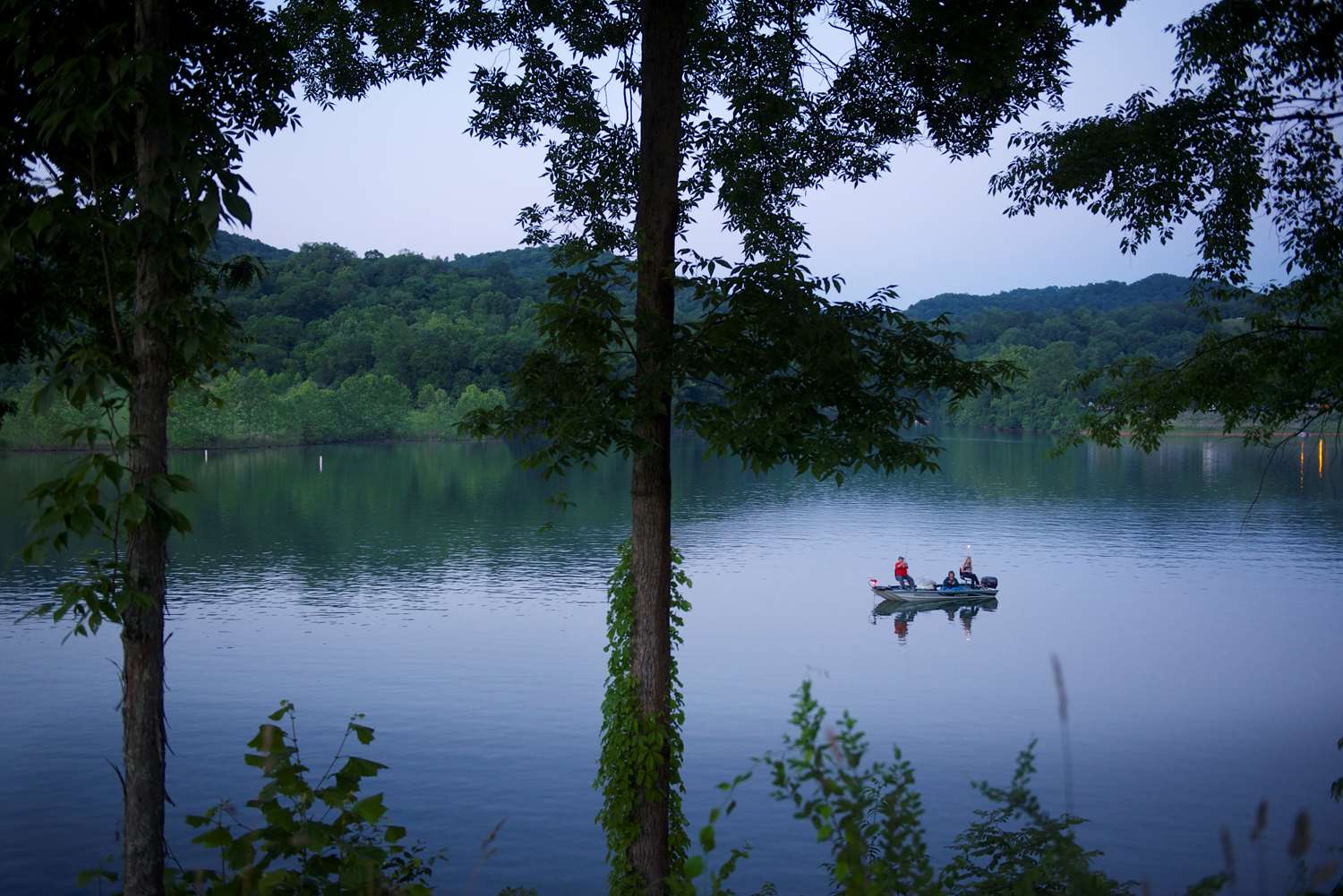 image Quiet waters and tree-lined shores offer a peaceful setting for paddling into nature’s stillness.