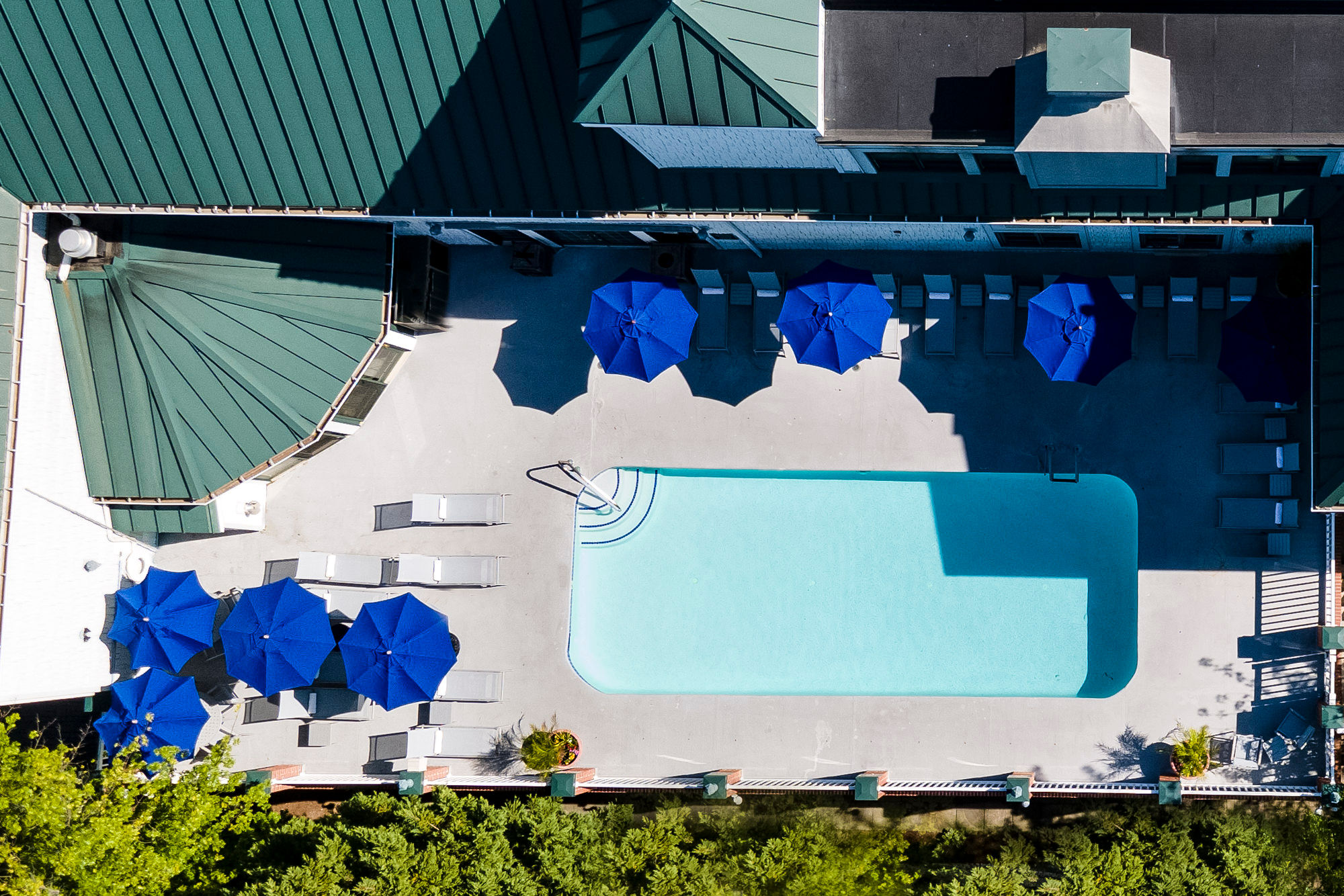 image Sun-drenched poolside serenity, where relaxation meets elegance in the heart of Rehoboth Beach.