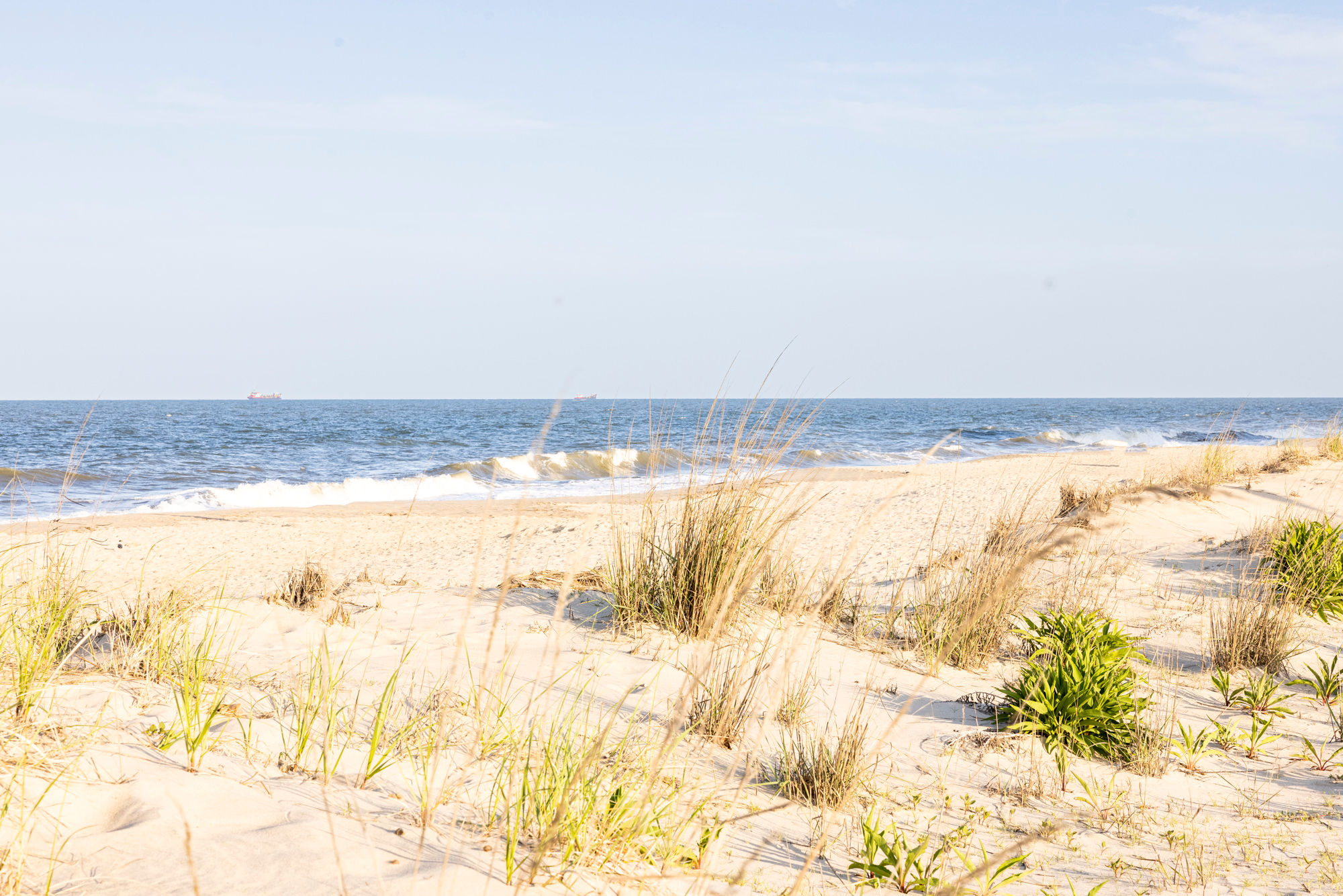 image Golden sand dunes and gentle waves create the perfect setting for a peaceful beach escape.