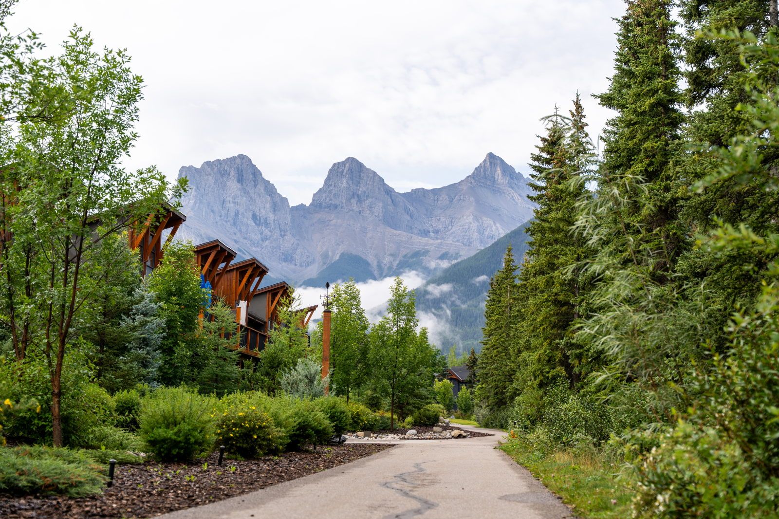image Wander down the scenic path, surrounded by vibrant foliage and majestic peaks.