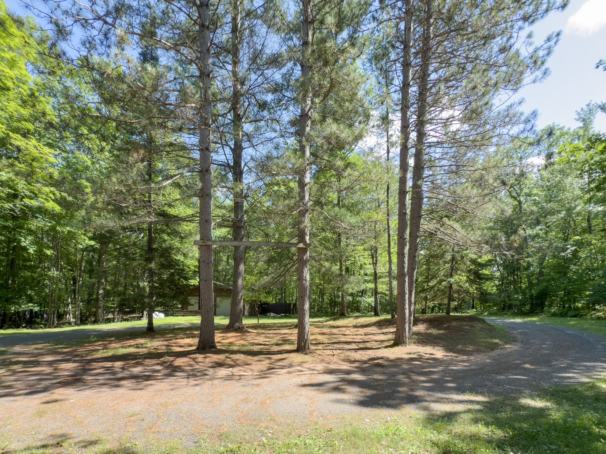 image The spacious yard is dotted with tall pines, offering ample room for outdoor activities and firepits for cozy gatherings.