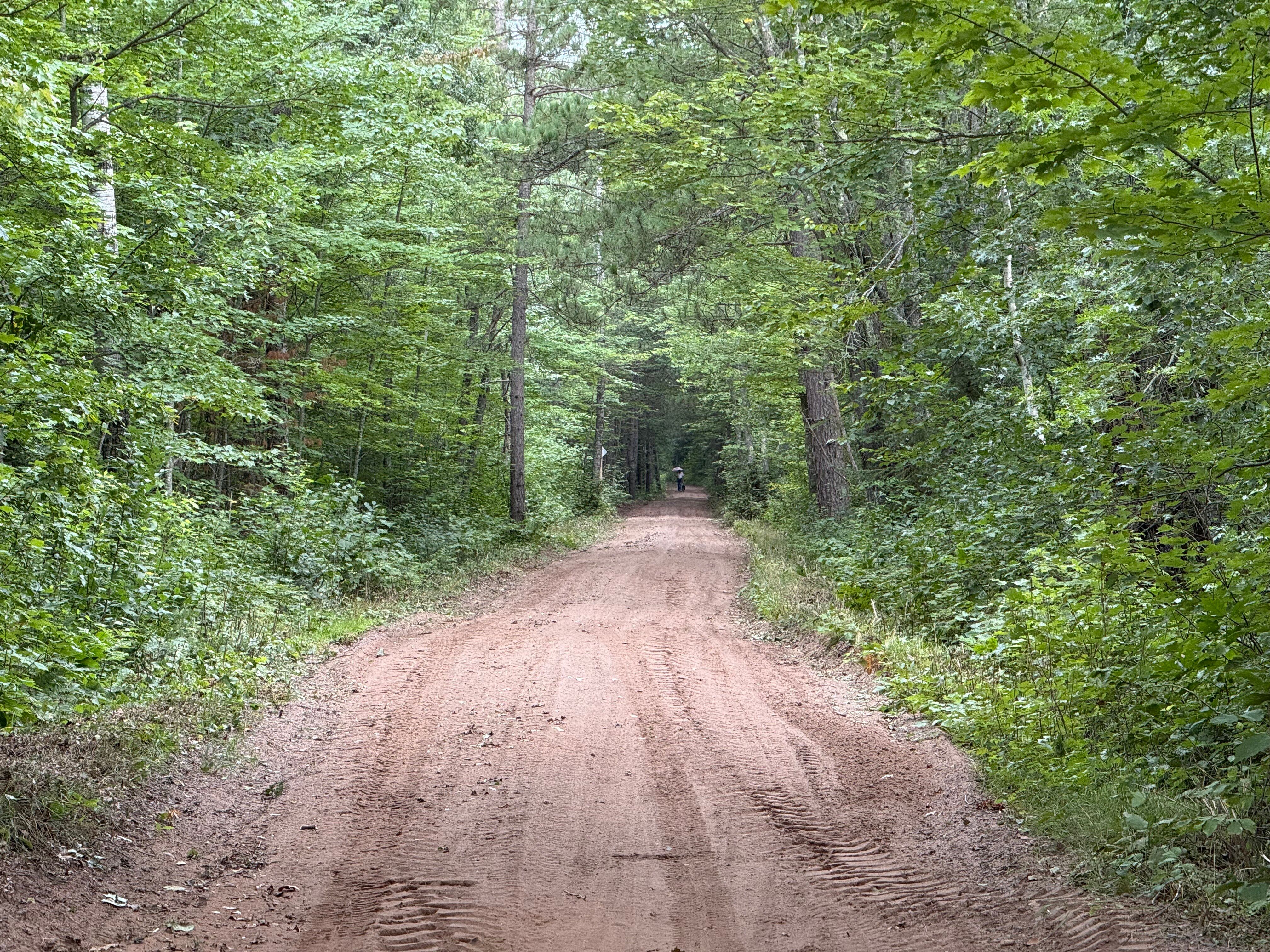 image A serene dirt trail, bordered by lush greenery, invites exploration and easy access for ATV and UTV adventures during warmer months.