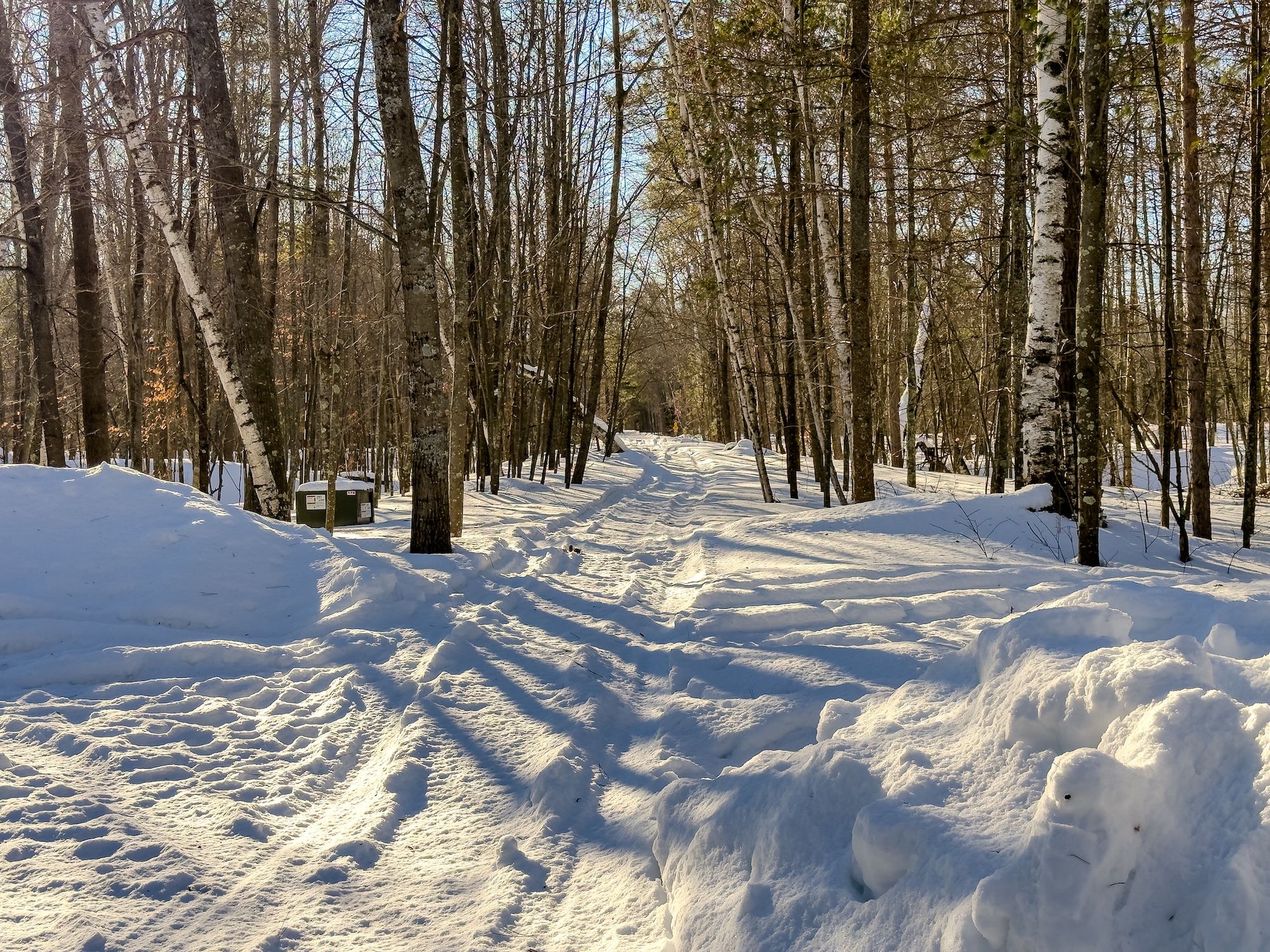 image Snow-covered forest trail lined with tall trees and deep tire tracks leading through a quiet winter landscape.
