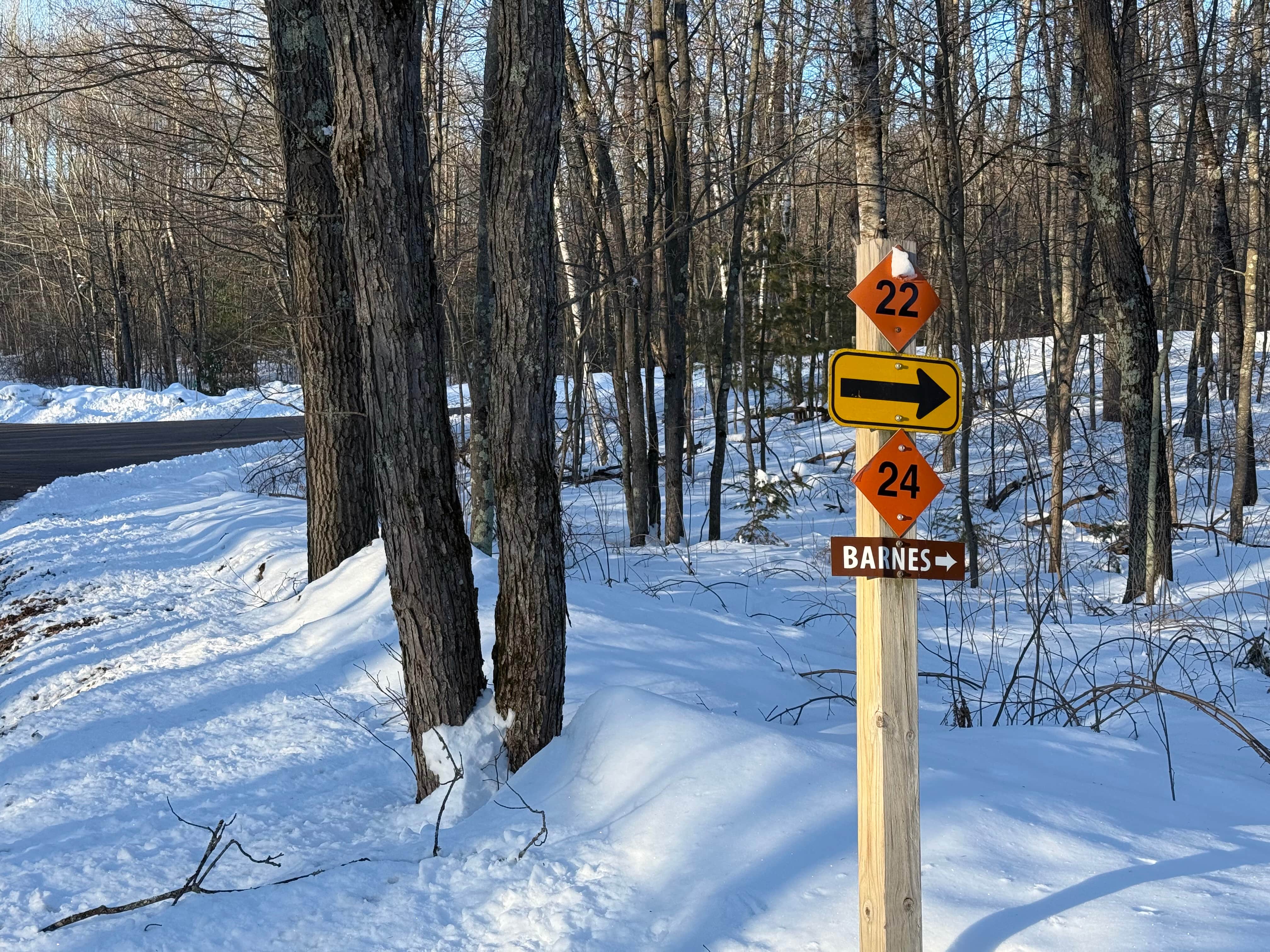 image Trail marker signpost showing directions for routes 22 and 24 with an arrow toward Barnes beside a snow-covered forest road.