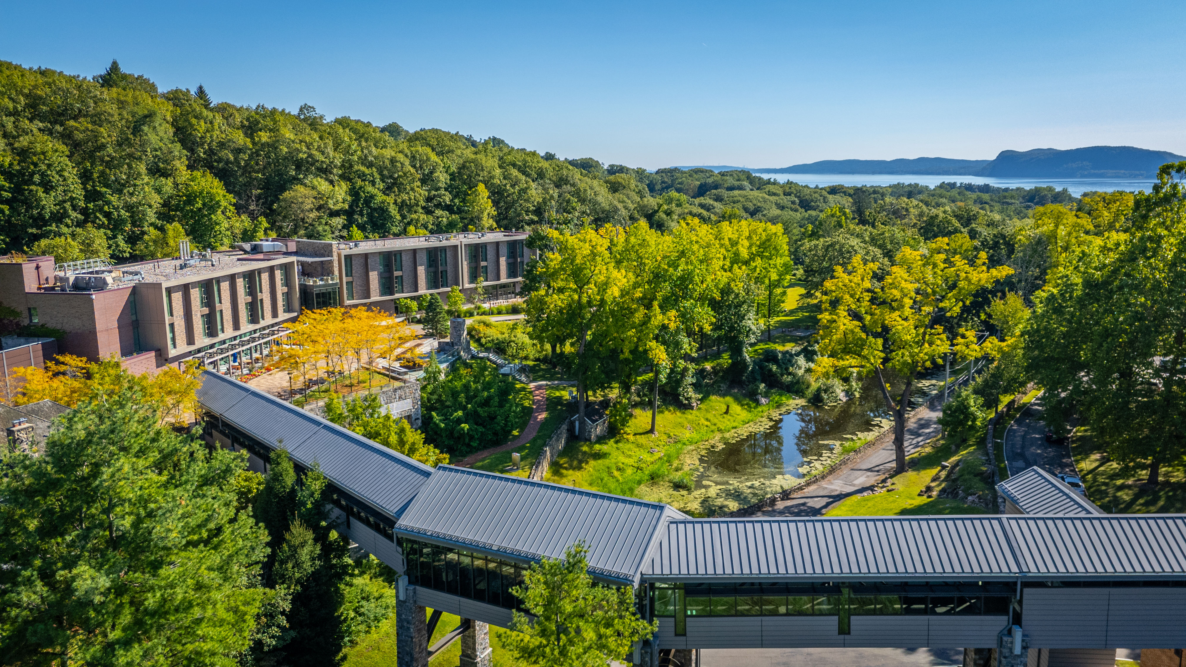 image Framed by vibrant trees and a peaceful stream, this idyllic corner of Windrose features interconnected pathways, inviting guests to explore the resort's natural beauty.