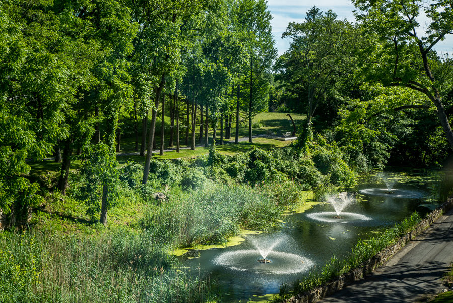image Lush gardens surround tranquil ponds, with sparkling fountains providing a serene backdrop for leisurely strolls along the peaceful walking trails.