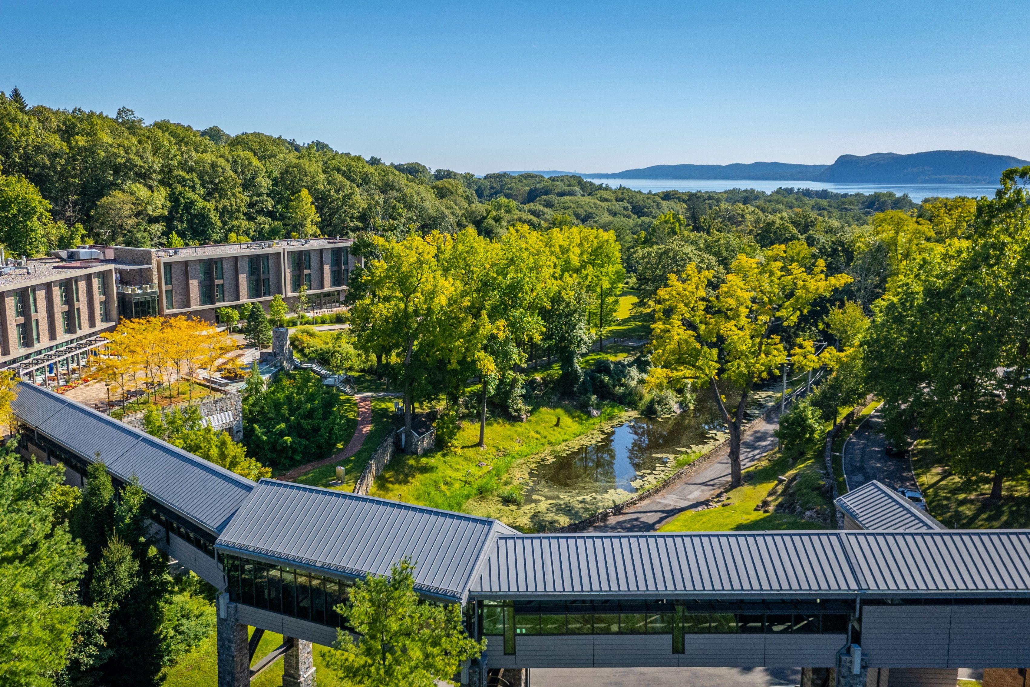 image Framed by vibrant trees and a peaceful stream, this idyllic corner of Windrose features interconnected pathways, inviting guests to explore the resort's natural beauty.