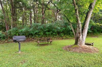 Grill out and dine under the trees in this peaceful picnic spot surrounded by nature.