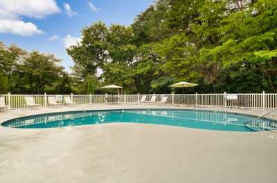 Chill poolside with mountain air, sunshine, and plenty of space for the whole crew.