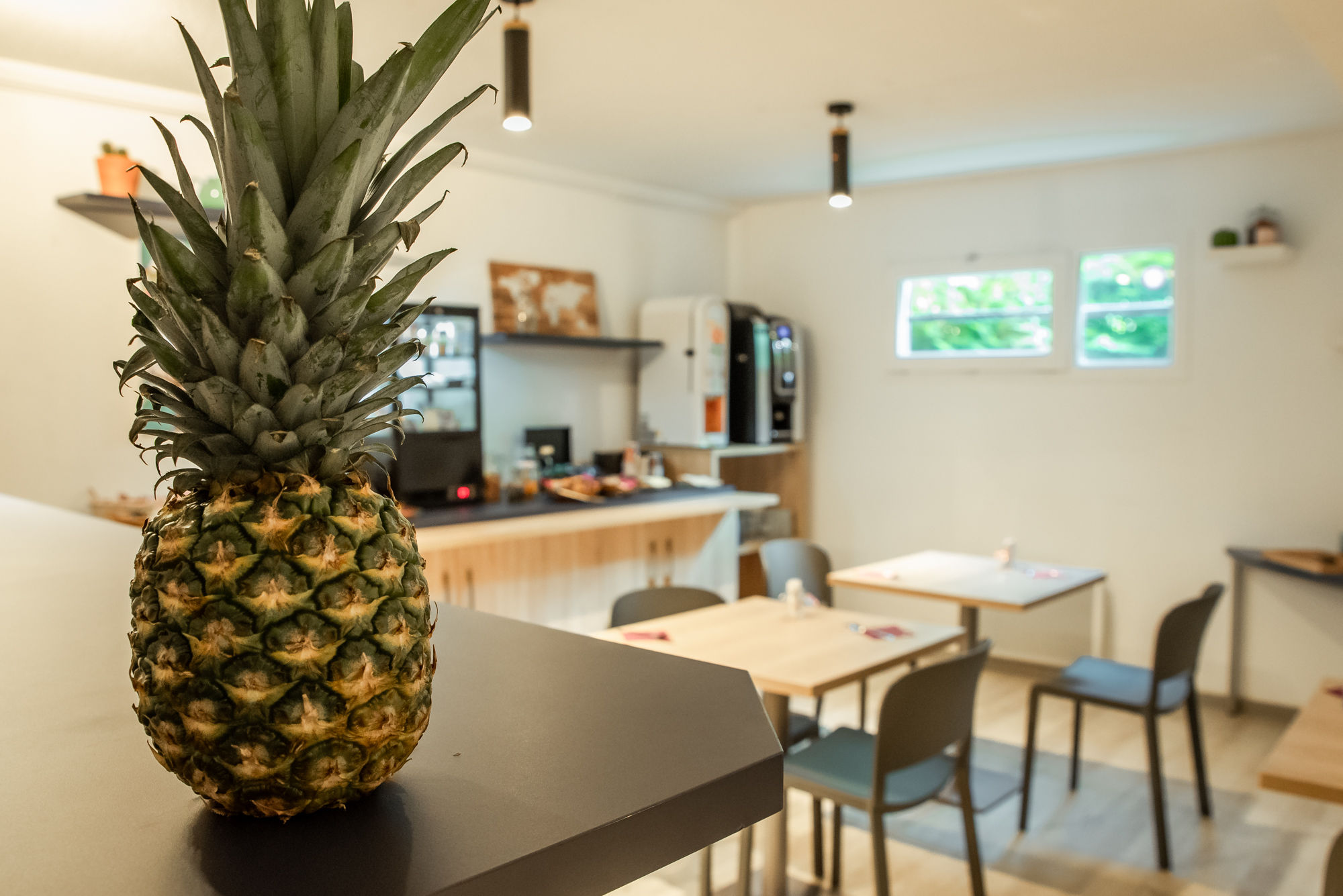 image A welcoming breakfast setting with a bright, relaxed atmosphere to start the day.